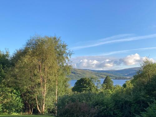 a view of a lake in the middle of trees at West Bothy in Glenborrodale