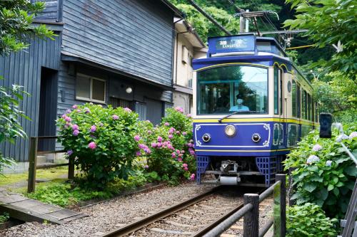 Galería fotográfica de 最大10名様 徒歩で海1分 ｺﾝﾋﾞﾆ30秒 長谷駅6分 極楽寺駅6分 大仏12分 貸切一軒家96ｍ2 閑静な住宅地 en Kamakura