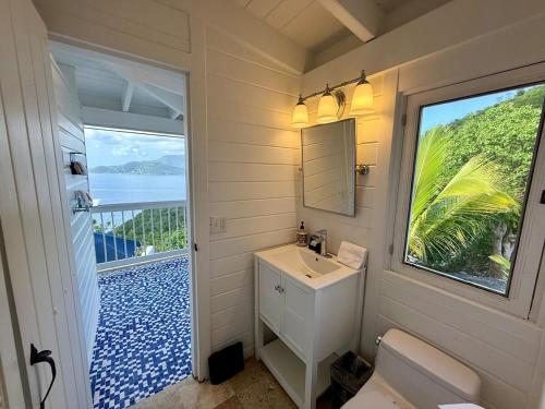 East EndにあるAmazing Views, Stunning Pool, Eco-Luxury Getaway - Dove Cottageの洗面台と大きな窓のあるバスルーム