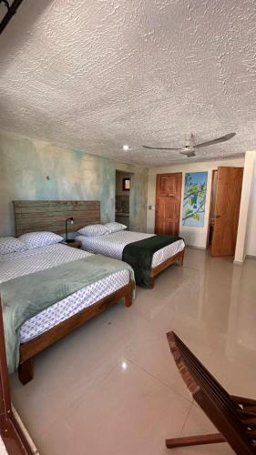 a bedroom with two beds in a room at Departamento Privado y Amplio en Zona Norte con Wifi cerca Centro in Mérida