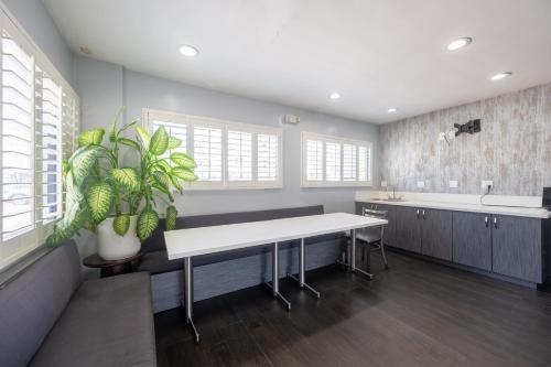 a kitchen with a white table and a plant at Hollywood City Inn in Los Angeles