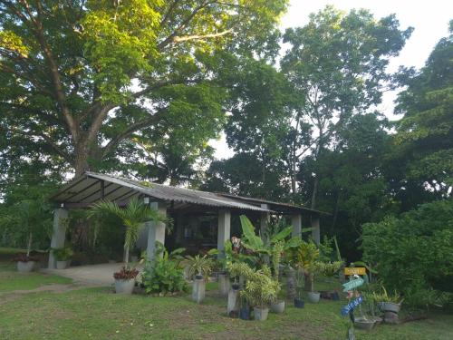 Jardín al aire libre en Peaceful Retreat in Atlantic Forest