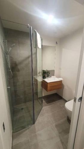 a bathroom with a shower and a toilet at Southern Cross Apartment 1 in Falls Creek