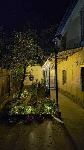 a courtyard with a tree and a building at night at Stuffstock Hostel in Sulina