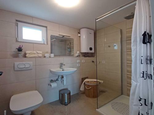 ein Badezimmer mit Toilette, Waschbecken und Dusche in der Unterkunft Beachfront Apartment with Balcony and Sea View in Vrsi