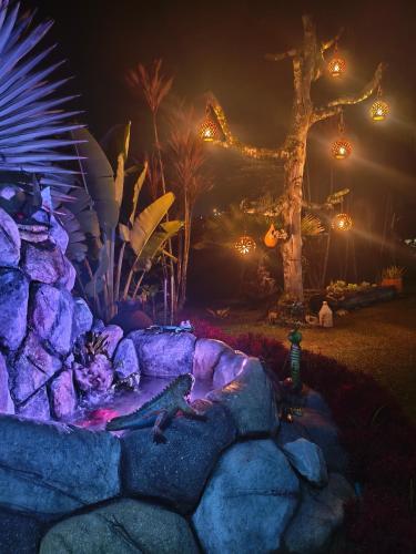 a lizard laying on a rock in a garden at night at Glamping Cabañas Sharmont in Guarne