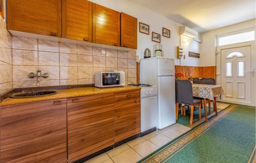 Η κουζίνα ή μικρή κουζίνα στο Awesome Apartment In Liznjan With Wifi