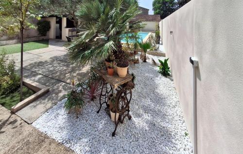 a garden with potted plants on a gravel pathway at 3 Bedroom Amazing Home In Sorgues in Sorgues