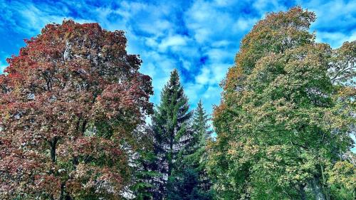 Gallery image of Rodinný apartmán na Šumavě in Prachatice