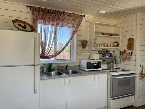 a kitchen with a refrigerator and a sink and a window at La petite Maison Baie-Johan-Beetz 