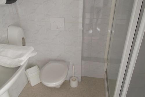 een witte badkamer met een toilet en een douche bij Le Baudilois in Pont-de-Larn