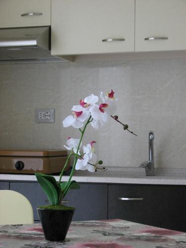 a vase with white flowers on a table in a kitchen at Aparthotel Vila Tufi in Velipojë