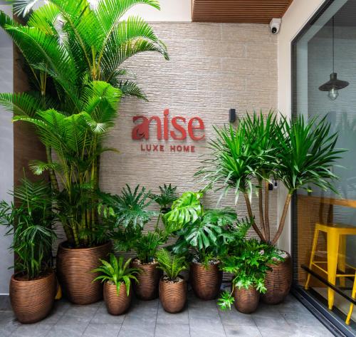 Gambar di galeri bagi Anise Luxe Home di Bandar Ho Chi Minh