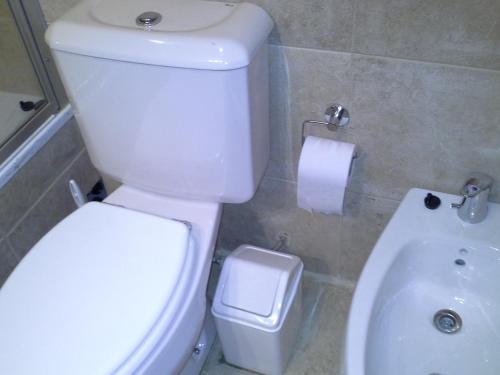 a bathroom with a white toilet and a sink at Cabaña San Martín de los Andes in San Martín de los Andes