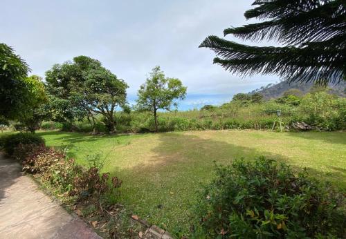 a field of grass with trees and a hill in the background at Roman Sinasi Hotel By Secoms in Tongging