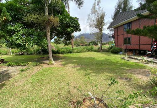 a yard with a tree and a house at Roman Sinasi Hotel By Secoms in Tongging