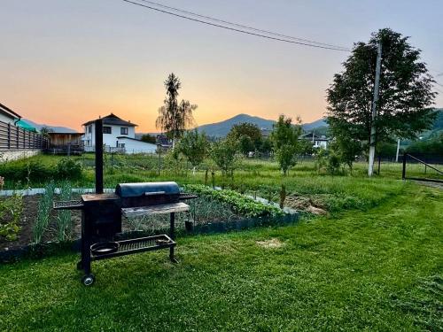 a grill sitting in the grass in a yard at Шале WeLKoMe in Verkhovyna