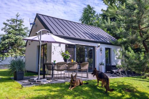 NAREV DOMY WAKACYJNE Każdy Dom na Wyłączność Oddzielnie Ogrodzony