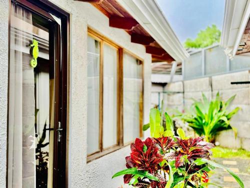 Taman di luar Casa para grupos grandes 28 huéspedes
