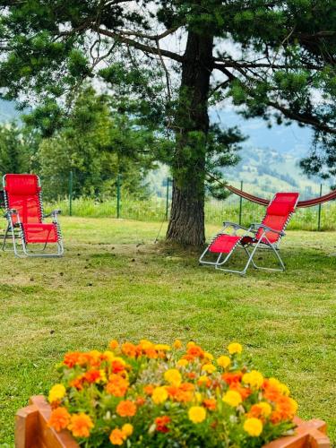 two red chairs and flowers in a park at Colț de Rai in Ilva Mare