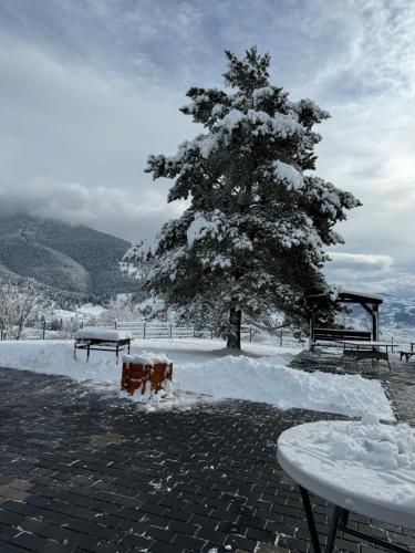 a snow covered tree and two benches and a table at Colț de Rai in Ilva Mare
