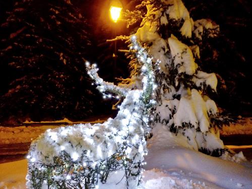 a snow covered tree with lights on it at Hotel Boton D'Or & Wellness a La Thuile in La Thuile