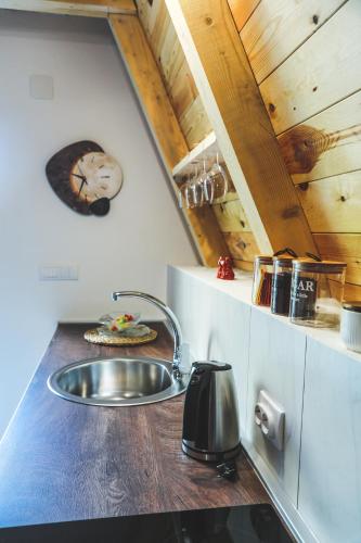 a kitchen with a sink and a counter top at Natures Escape Kozarica in Šavnik