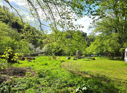 a field of grass with cows in the distance at Pension im Tal der Stille in Treseburg