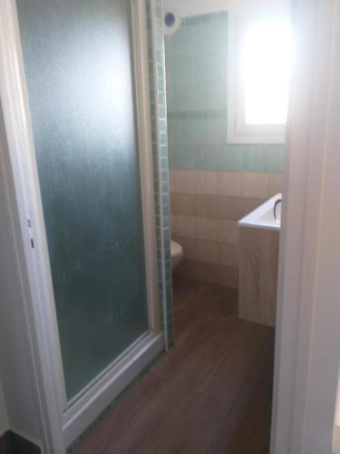 une salle de bain avec une douche, des toilettes et un lavabo dans l'établissement appartfa, à La Celle-sous-Gouzon