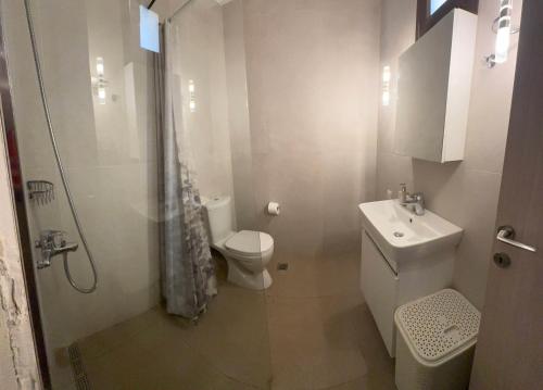 a white bathroom with a toilet and a sink at Hercules Traditional Houses in Gálipe