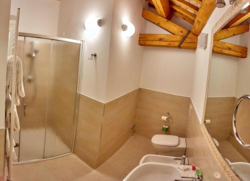 a bathroom with a shower and a toilet and a sink at Hotel Riviera dei Dogi in Mira