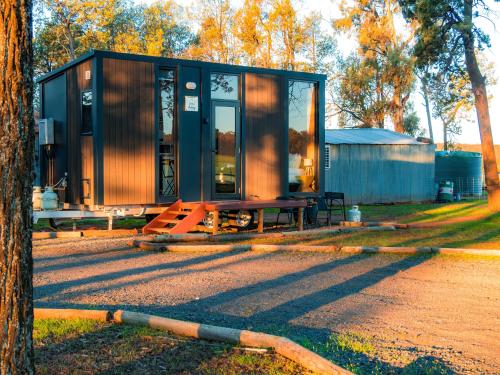 a cabin in the middle of a field with a tree at Coleslea by Tiny Away in Leeton