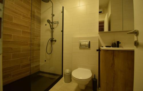 un bagno con wc e doccia in vetro di Villa Elefant by Villas Guide a Tribalj