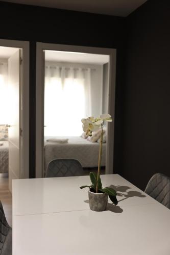 a white table with a flower in a pot on it at Apartamentos Dacris in Jerte