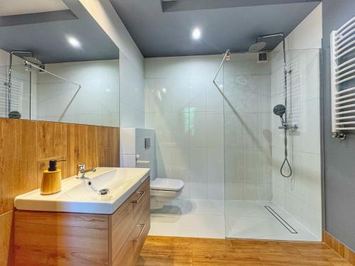 a bathroom with a shower and a sink and a toilet at Apartamenty Szóstka Wisła Kamienna in Wisła