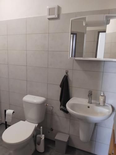 a bathroom with a toilet and a sink at Chalupa Podolí u Bouzova in Bouzov