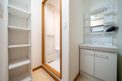 札幌市にあるE-US Naebo HOUSEの小さなバスルーム(鏡、シンク付)