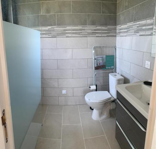 une salle de bain avec toilettes et lavabo dans l'établissement gîte, à Molières