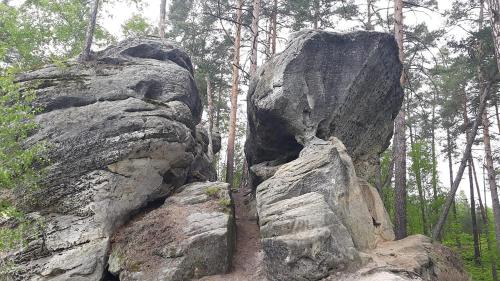 two large rocks in the middle of a forest at Apartmán Hortenzie in Mařenice