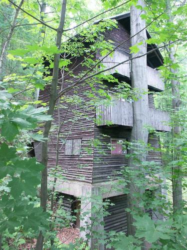 a wooden building in the middle of the forest at Apartmán Hortenzie in Mařenice