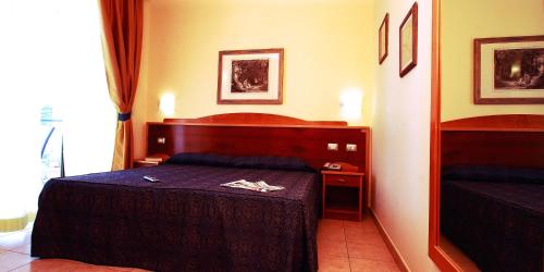 a hotel room with a bed with a purple blanket at Hotel Duca Degli Abruzzi in Montesilvano