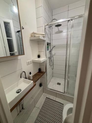 une salle de bain avec douche et lavabo dans l'établissement Appartement cosy, à Ivry-sur-Seine