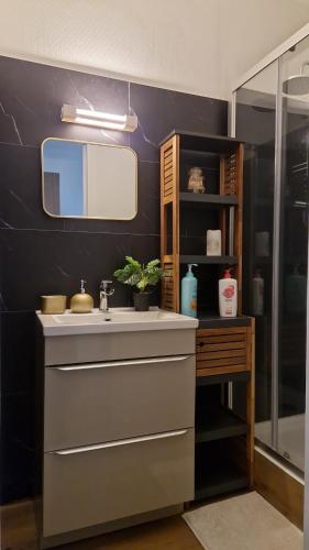 une salle de bain avec un lavabo et un miroir dans l'établissement Charmante petite maison proche de la gare, à Terrasson