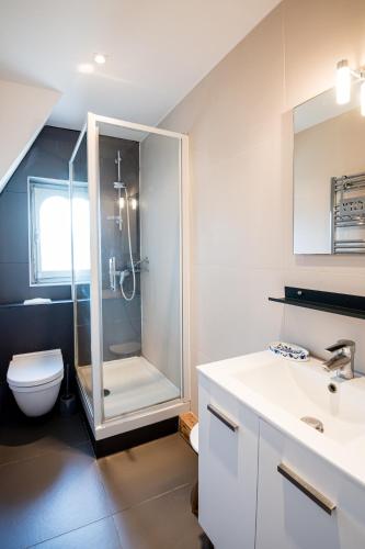 une salle de bain avec une douche, des toilettes et un lavabo dans l'établissement DUPLEX villa ancienne, 59 m2 , vue mer et plein centre!, à Villers-sur-Mer