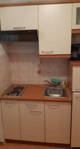 a kitchen with a sink and a counter top at Apartments with parking space Lopar, Rab - 24617 in Lopar