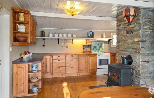 ドローバックにあるAmazing Home In Drøbakのキッチン(木製キャビネット、コンロ付)