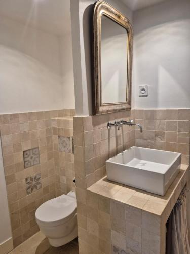 une salle de bain avec toilettes, lavabo et miroir dans l'établissement Chambre au coeur d'un Mas, à Montpellier