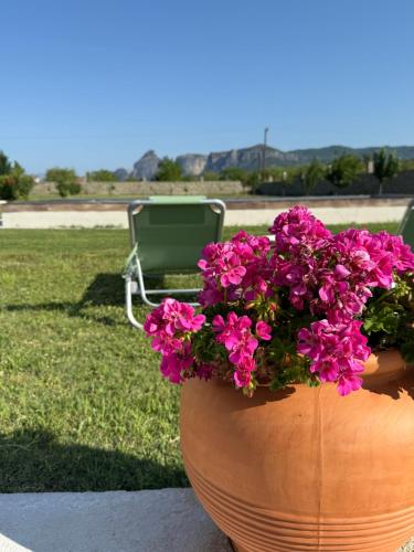 a large planter with pink flowers in a yard at Spilaio at Meteora in Kalabaka