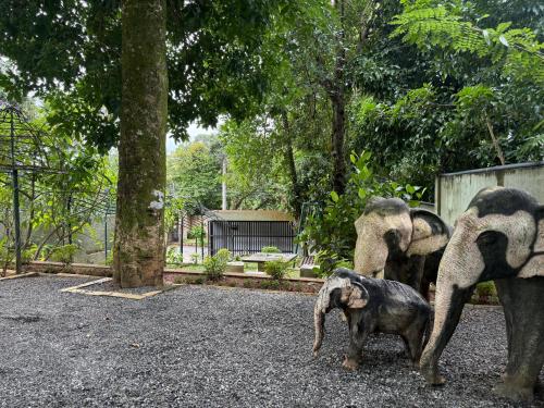 a group of elephants standing next to a baby elephant at Hasthi Boutique in Kandy