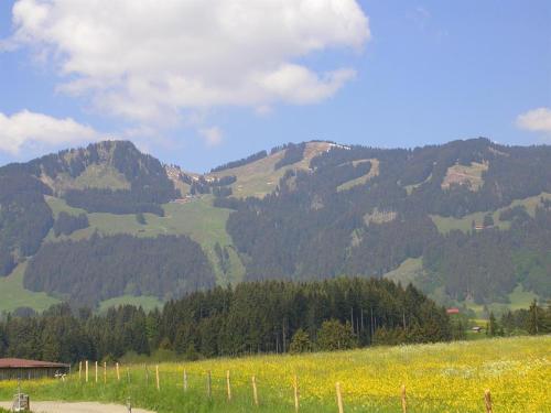 a field of yellow flowers in front of a mountain at Gästehaus Koros in Fischen